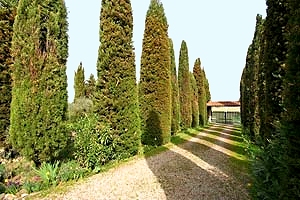 Villa in the Chianti