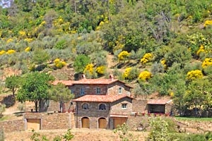 Casa rural Cortona