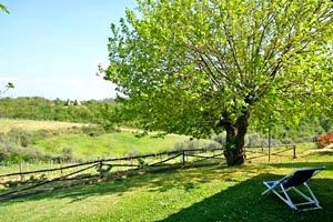 Villa Florencia