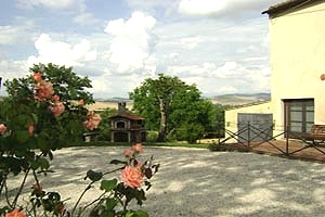 Montalcino Villa Rental