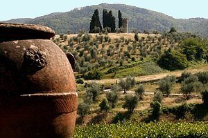 Farmhouses Fiesole