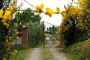 Villa campo Empoli