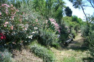 Villa Castelfiorentino zu mieten