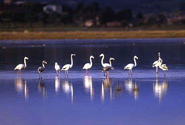 maremma-oasi-naturale