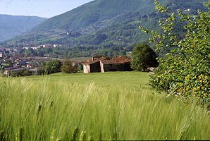 mugello-montagne