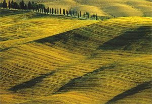 siena_crete_senesi